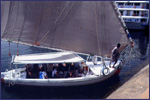Egyptian sailboat called a Felucca