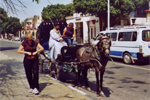 Carriage ride in Luxor